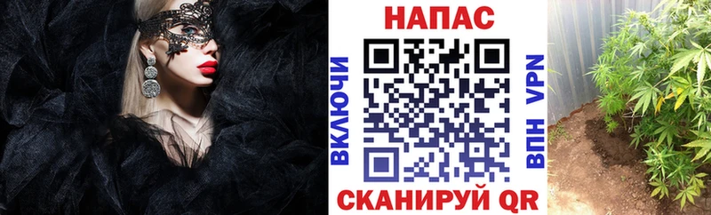 Все наркотики Болохово Cocaine  Альфа ПВП  Каннабис  АМФЕТАМИН  МЕФ 