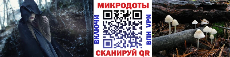 как найти   Болохово  Галлюциногенные грибы Cubensis 